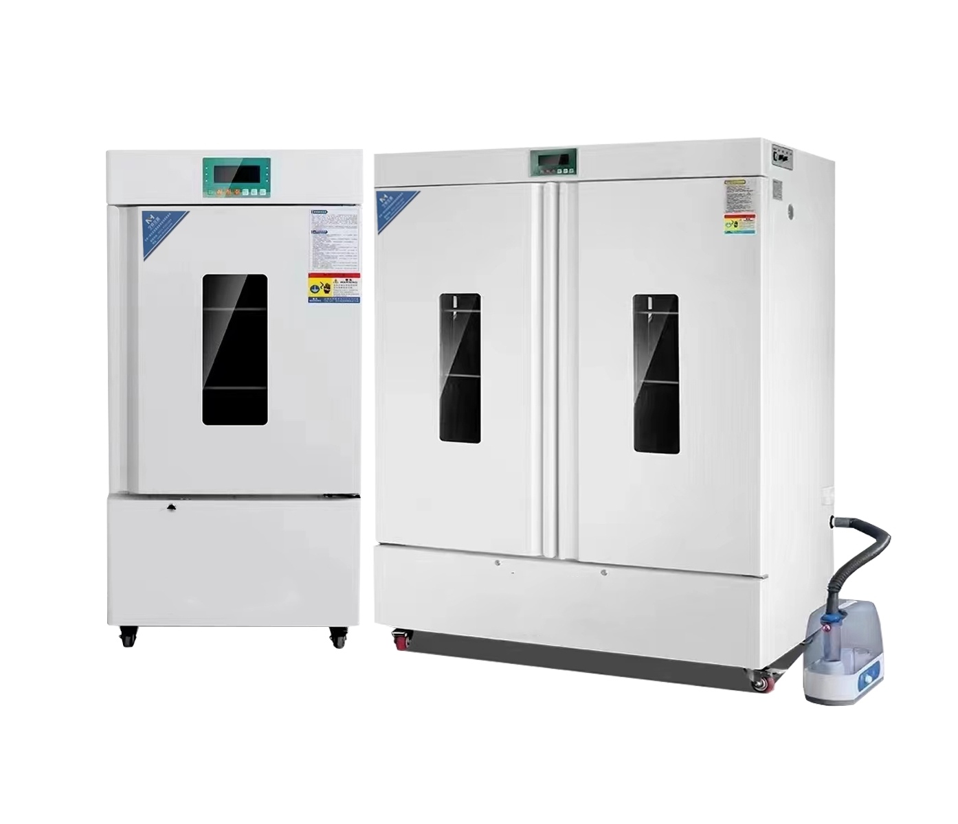 ���º�ʪ������